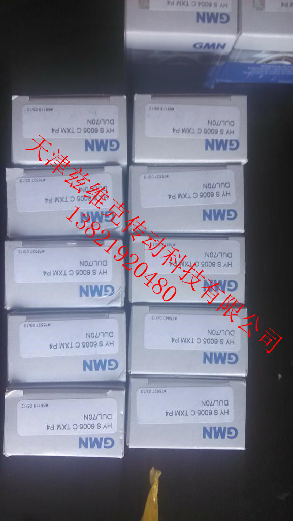 GMN HYS6005CTXMP4UL軸承